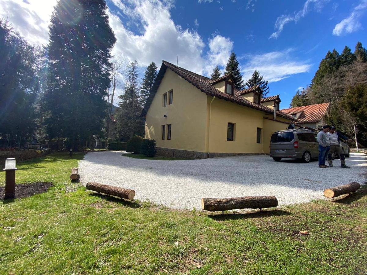 El Niu de l’Àguila  Vila Camprodon Exterior foto